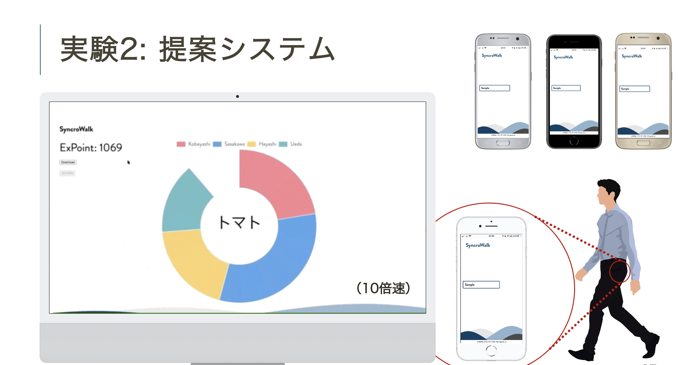 実験システム